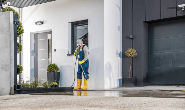 Best Roof Cleaning and Mildew Removal in Baltimore, MD